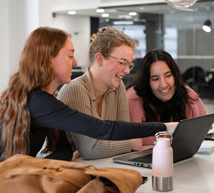 University staff and mentors collaborating